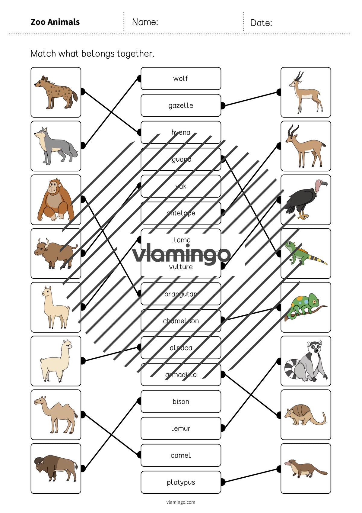 de englisch zoo animals draw the lines 1 009