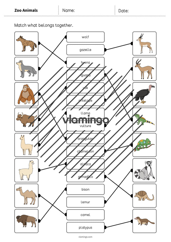 de englisch zoo animals draw the lines 1 009