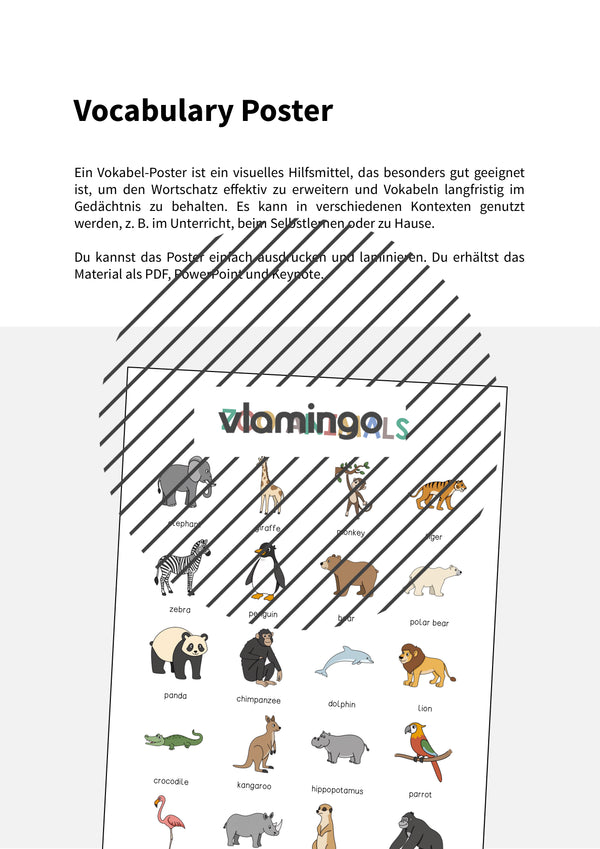 de englisch zoo animals vocabulary poster 002