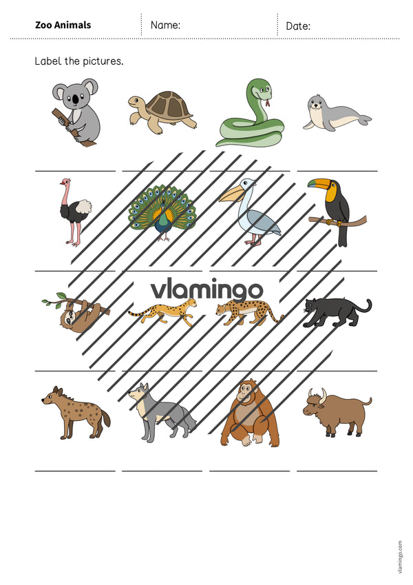 de englisch zoo animals vocabulary worksheet 1 008