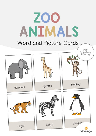 Zoo Animals / Zootiere: Word and Picture Cards (Englisch)