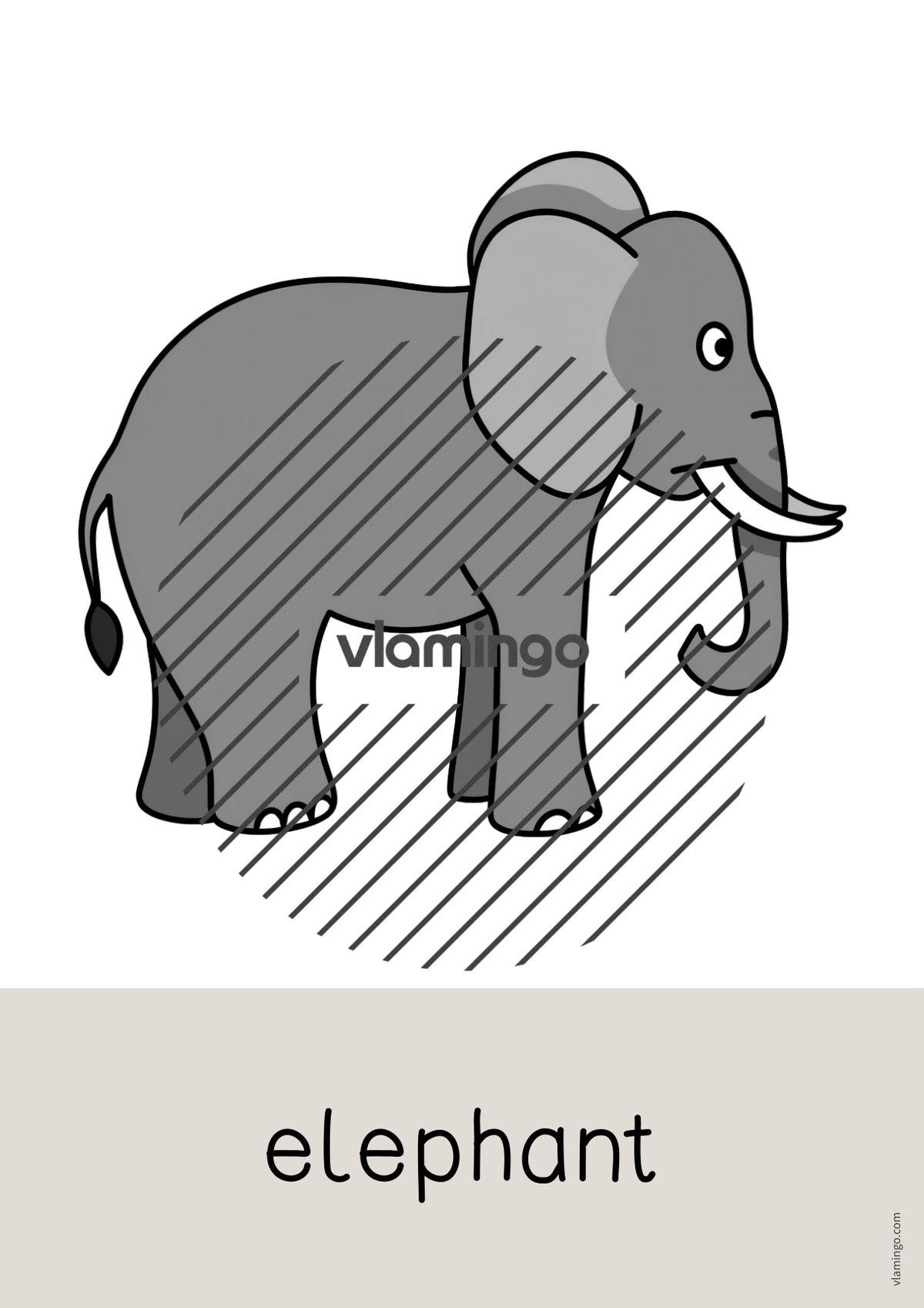 de englisch zoo animals word and picture cards 003
