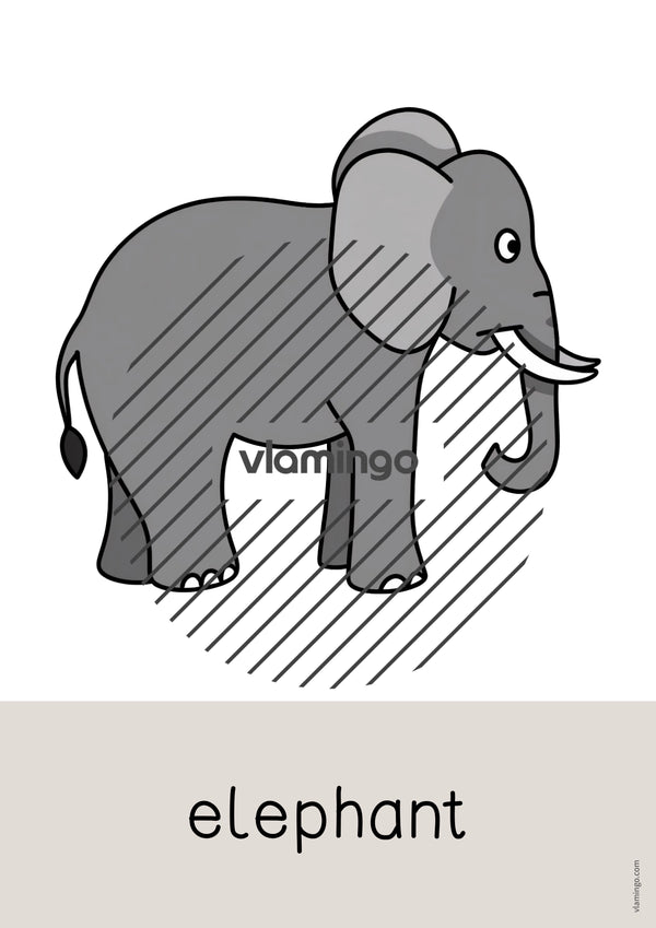 de englisch zoo animals word and picture cards 003
