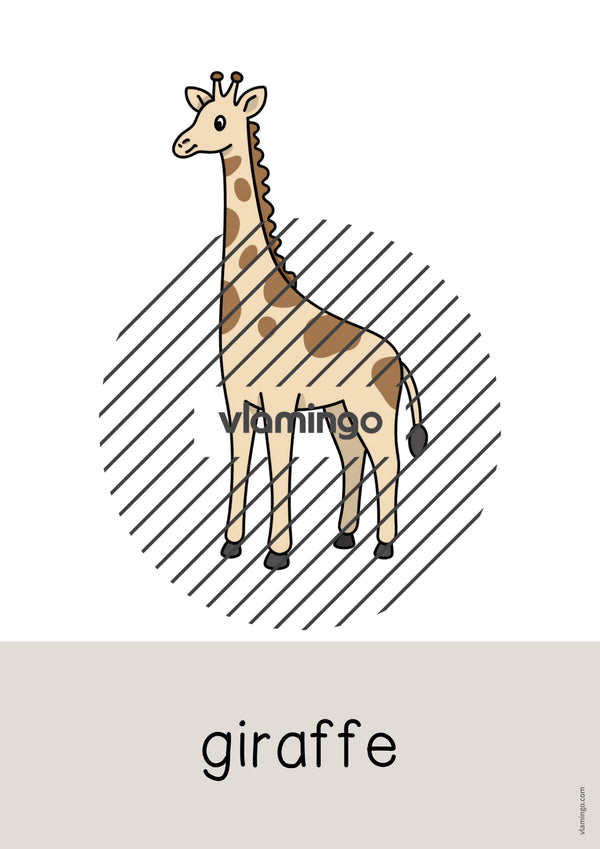 de englisch zoo animals word and picture cards 004