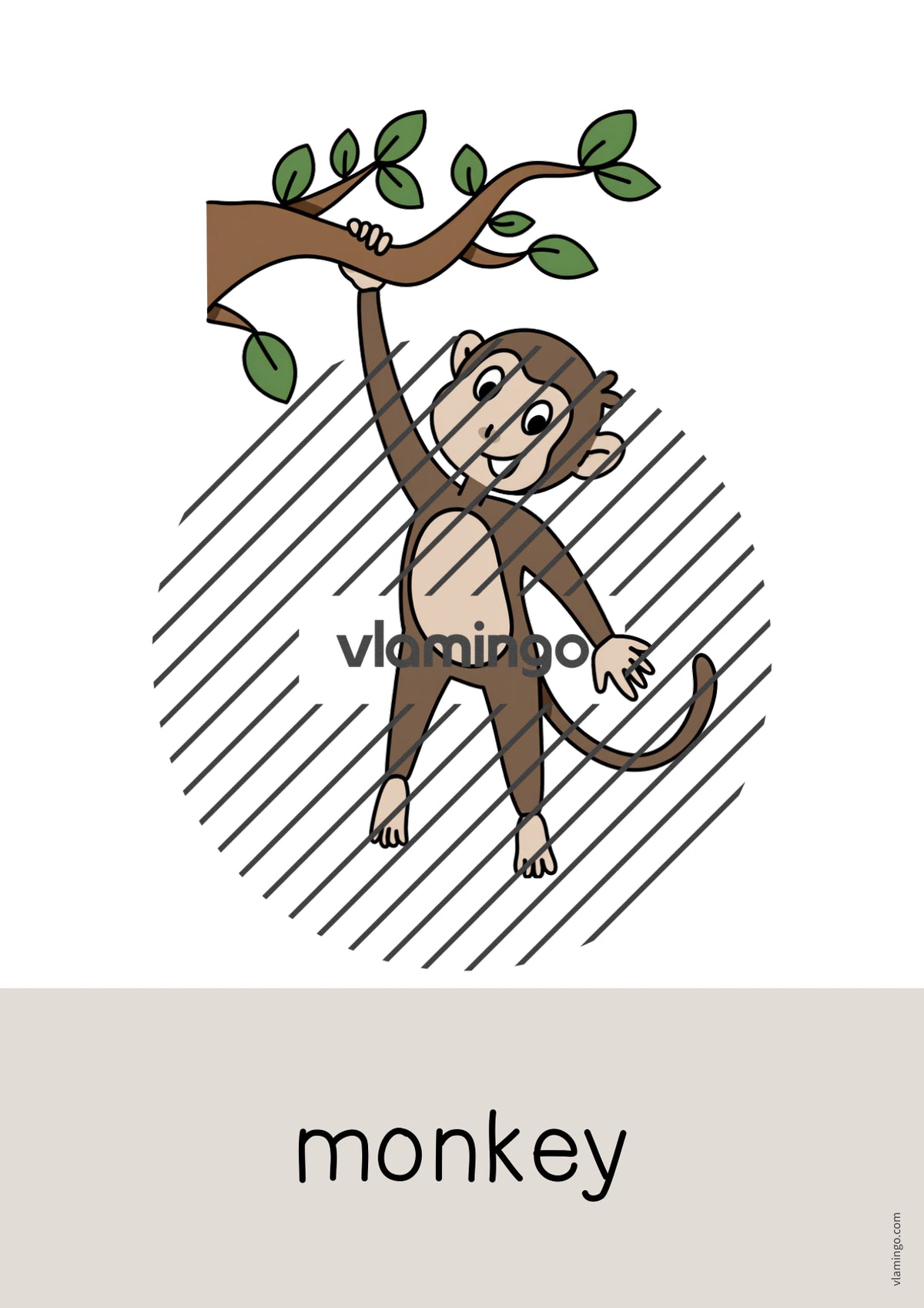 de englisch zoo animals word and picture cards 005
