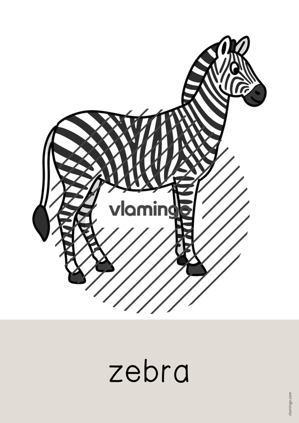 de englisch zoo animals word and picture cards 007