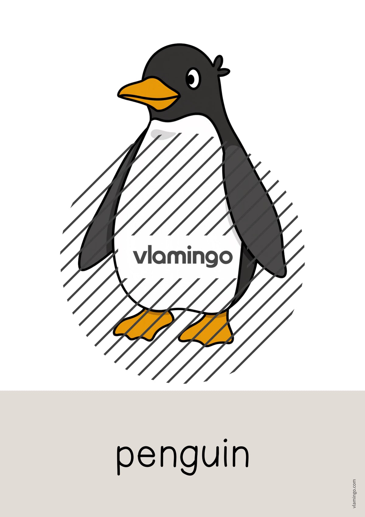 de englisch zoo animals word and picture cards 008