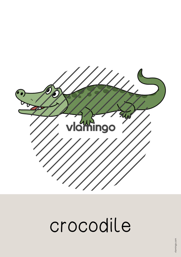 de englisch zoo animals word and picture cards 015
