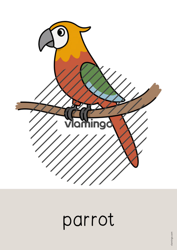de englisch zoo animals word and picture cards 018