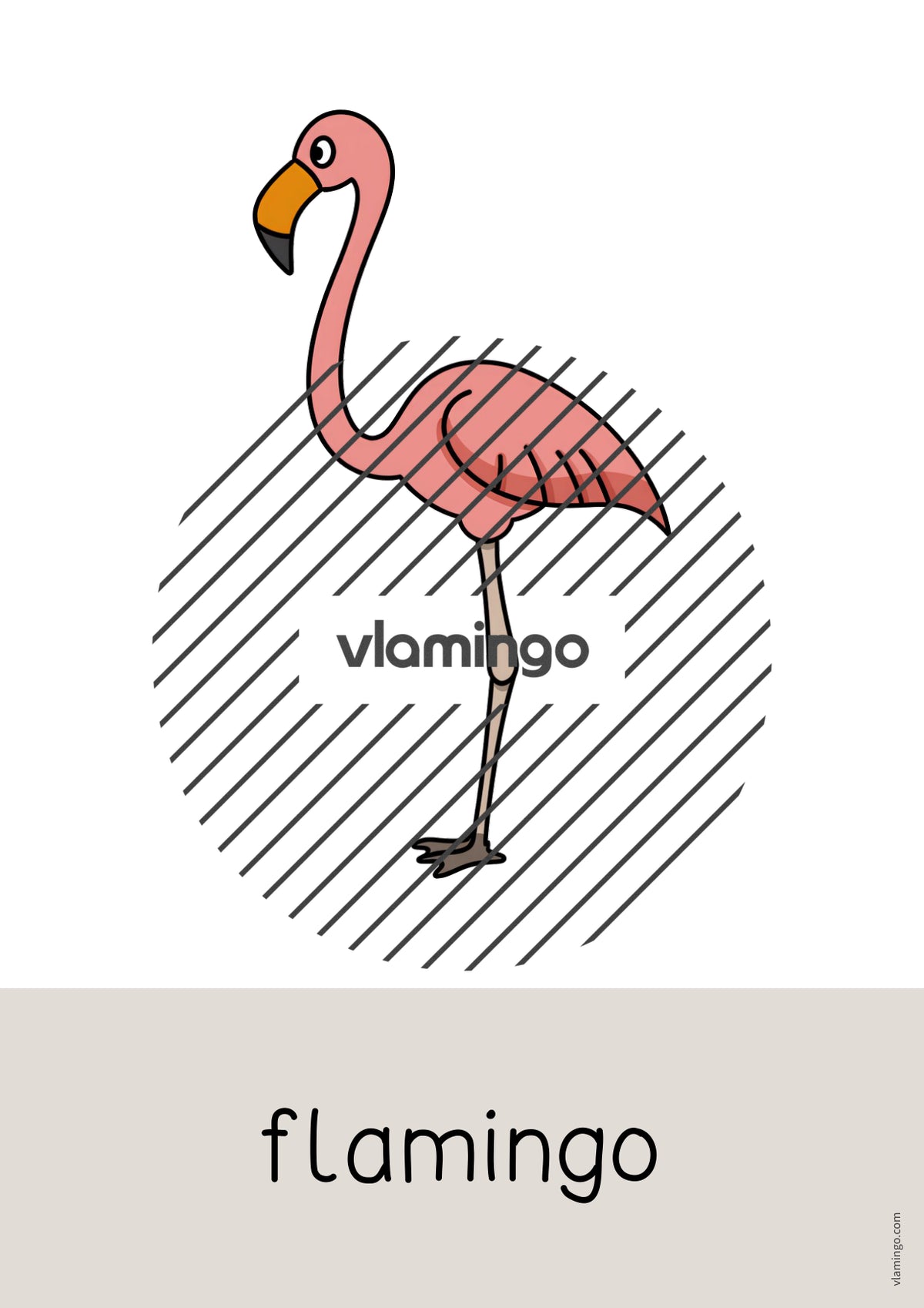 de englisch zoo animals word and picture cards 019