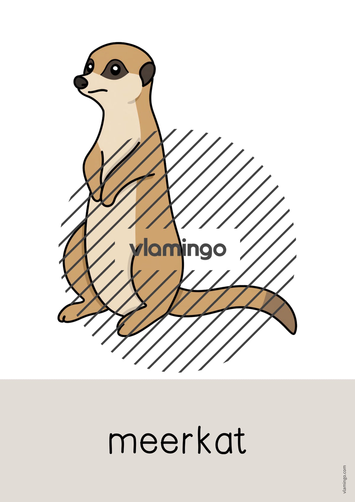 de englisch zoo animals word and picture cards 021