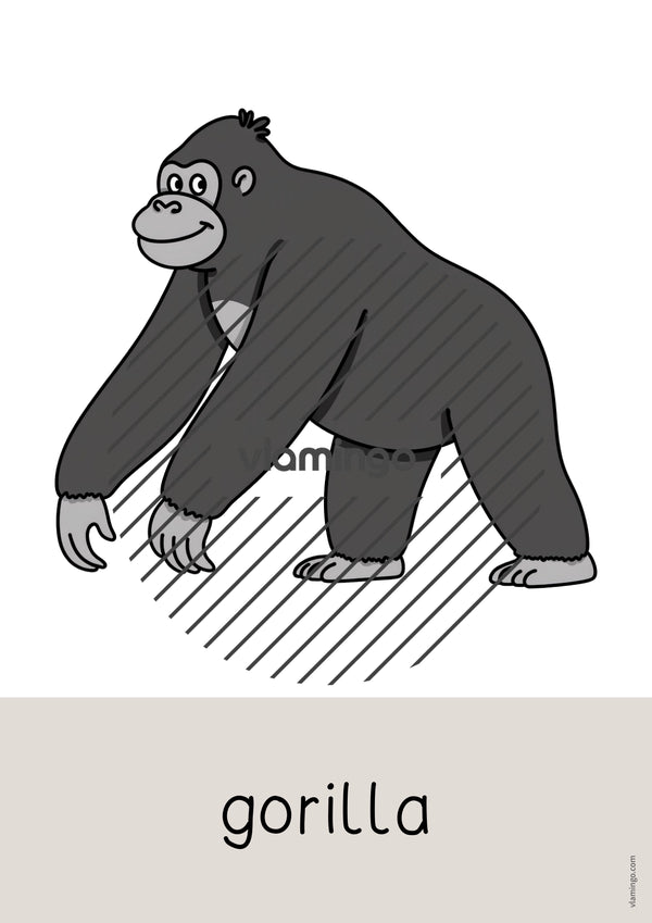 de englisch zoo animals word and picture cards 022