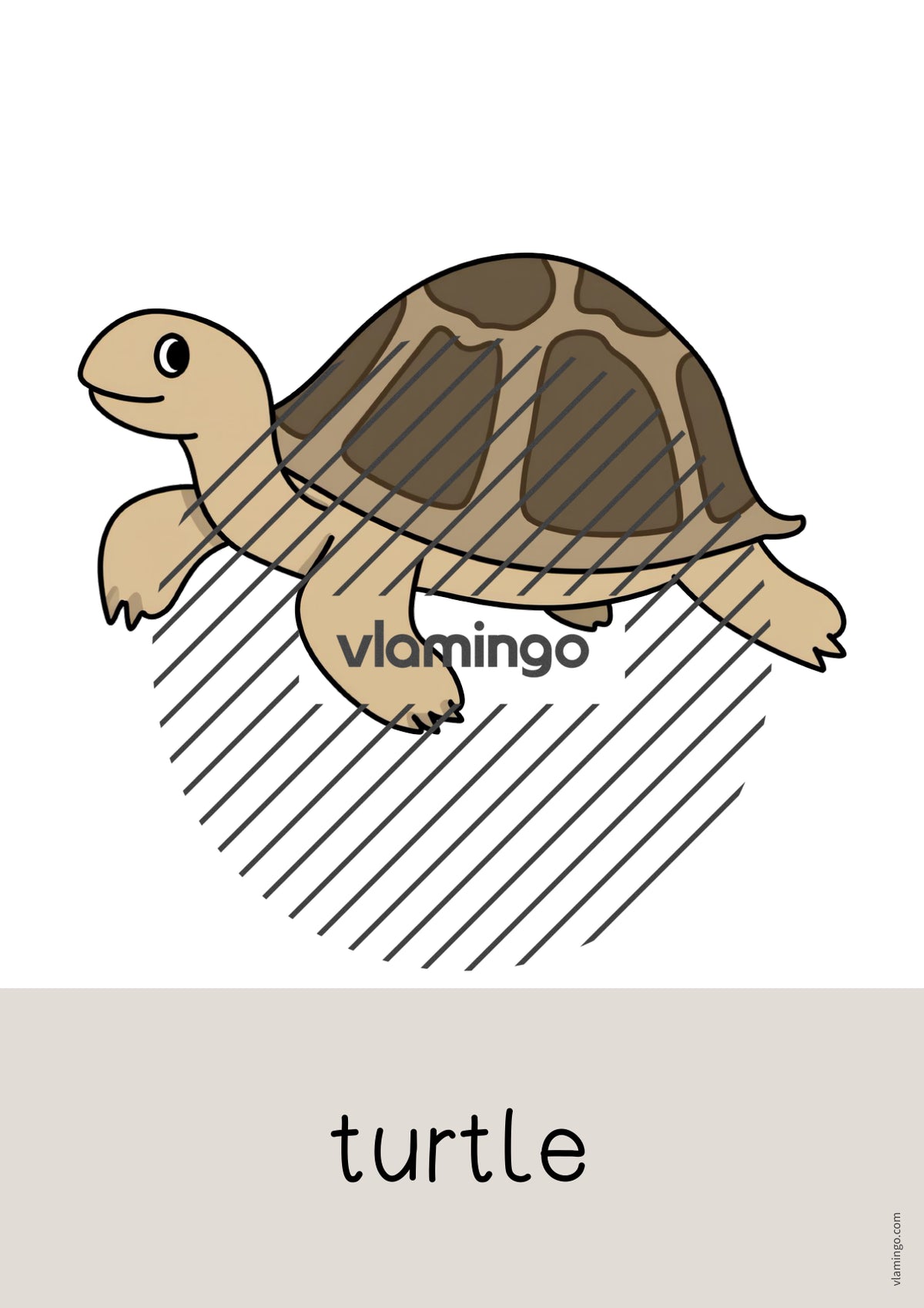 de englisch zoo animals word and picture cards 024