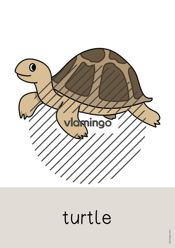 de englisch zoo animals word and picture cards 024