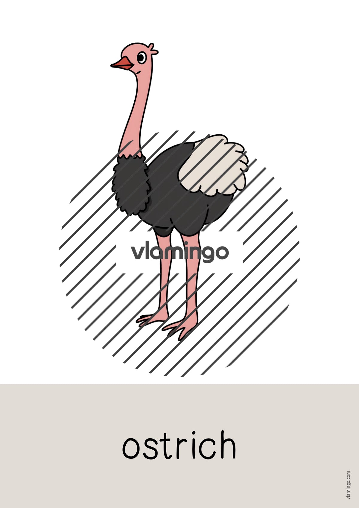 de englisch zoo animals word and picture cards 027