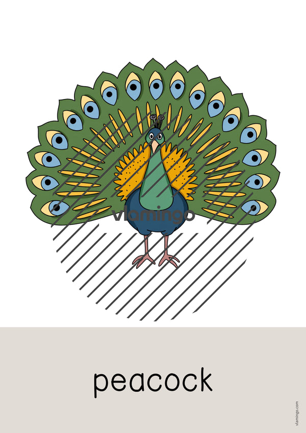 de englisch zoo animals word and picture cards 028