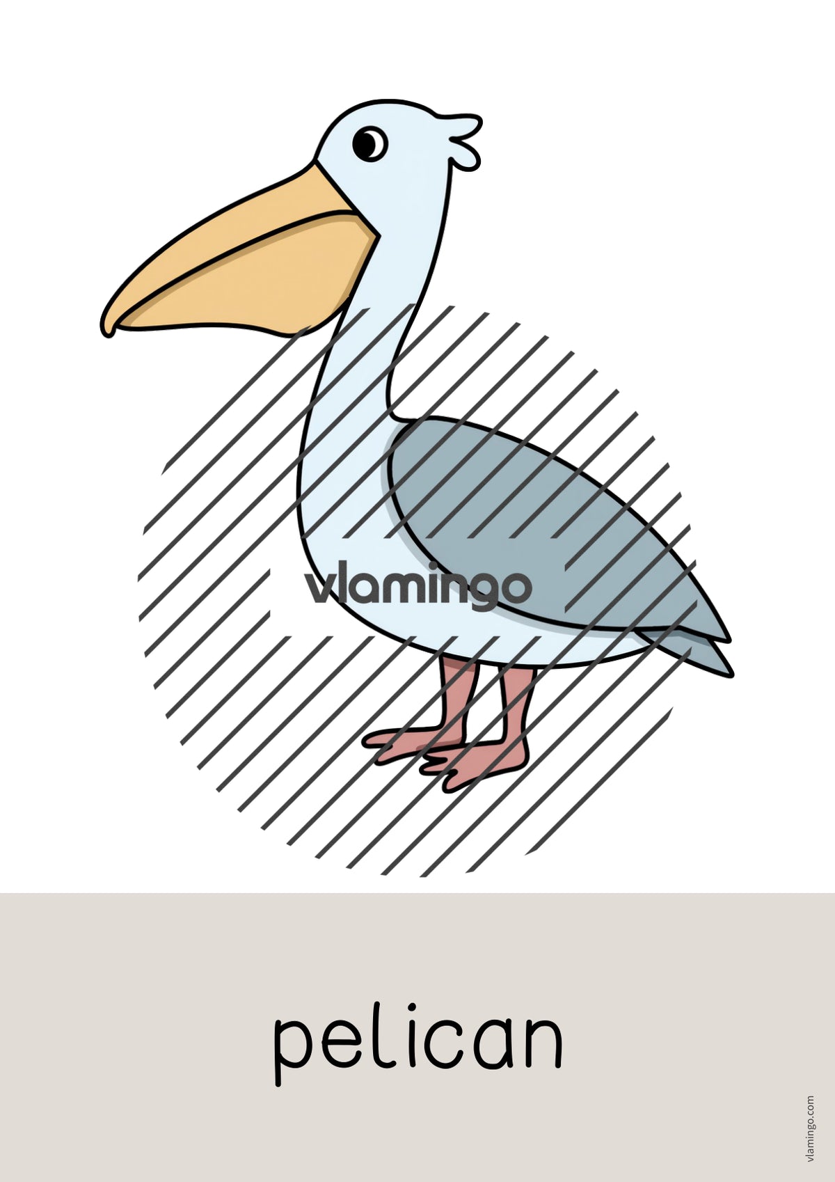 de englisch zoo animals word and picture cards 029