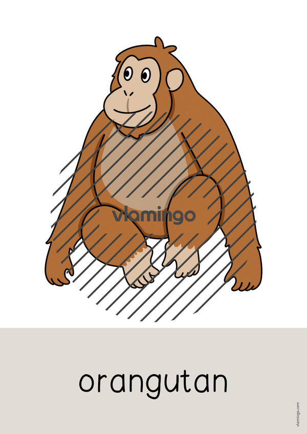de englisch zoo animals word and picture cards 037