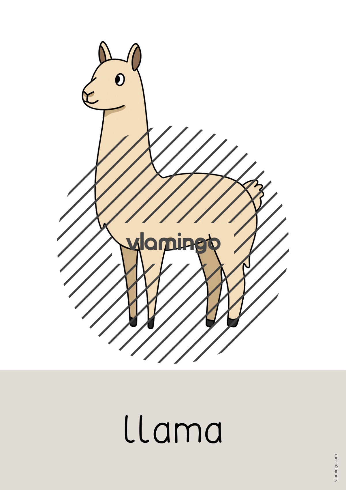 de englisch zoo animals word and picture cards 039