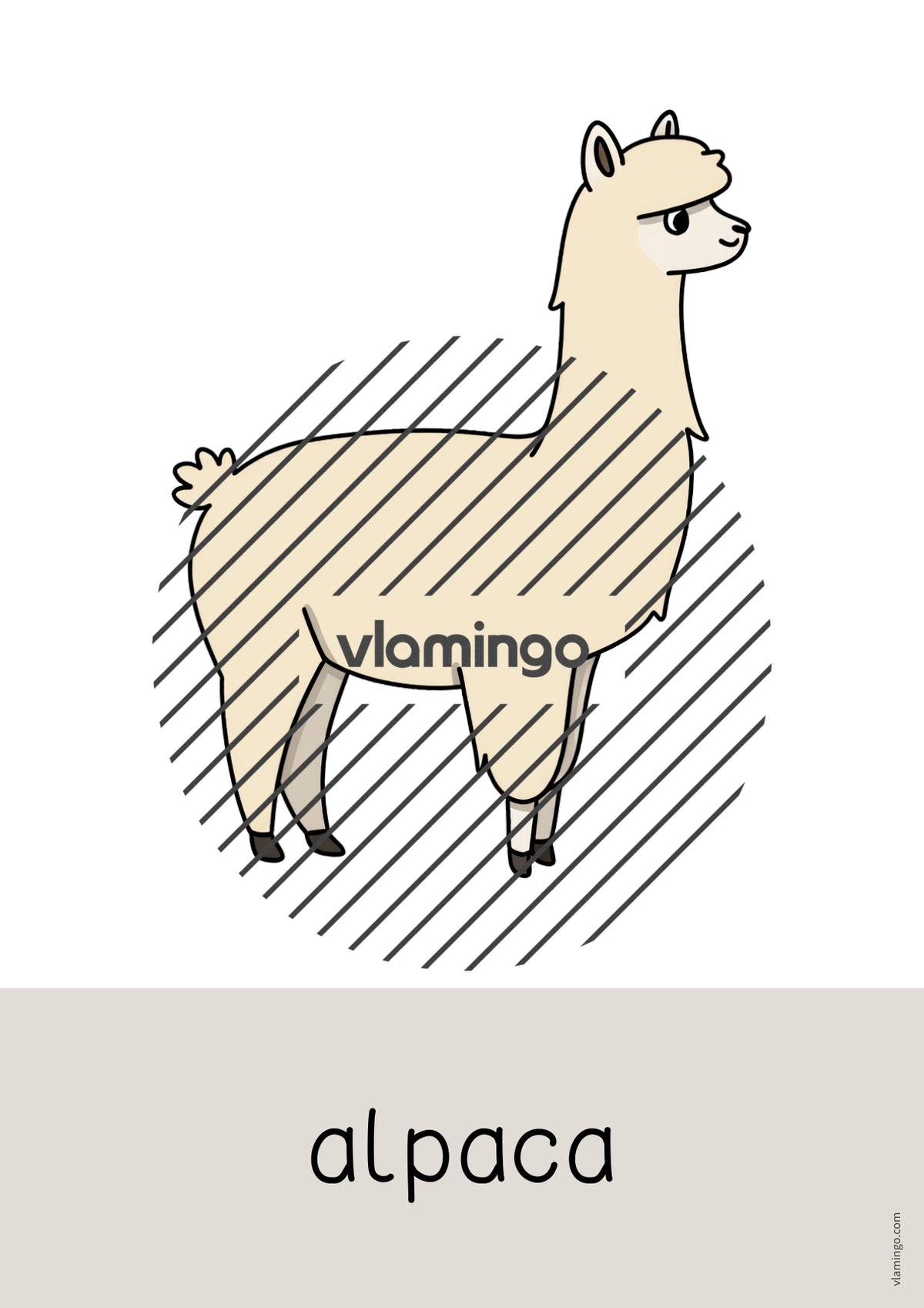 de englisch zoo animals word and picture cards 040