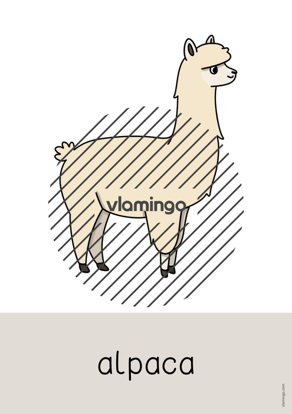 de englisch zoo animals word and picture cards 040