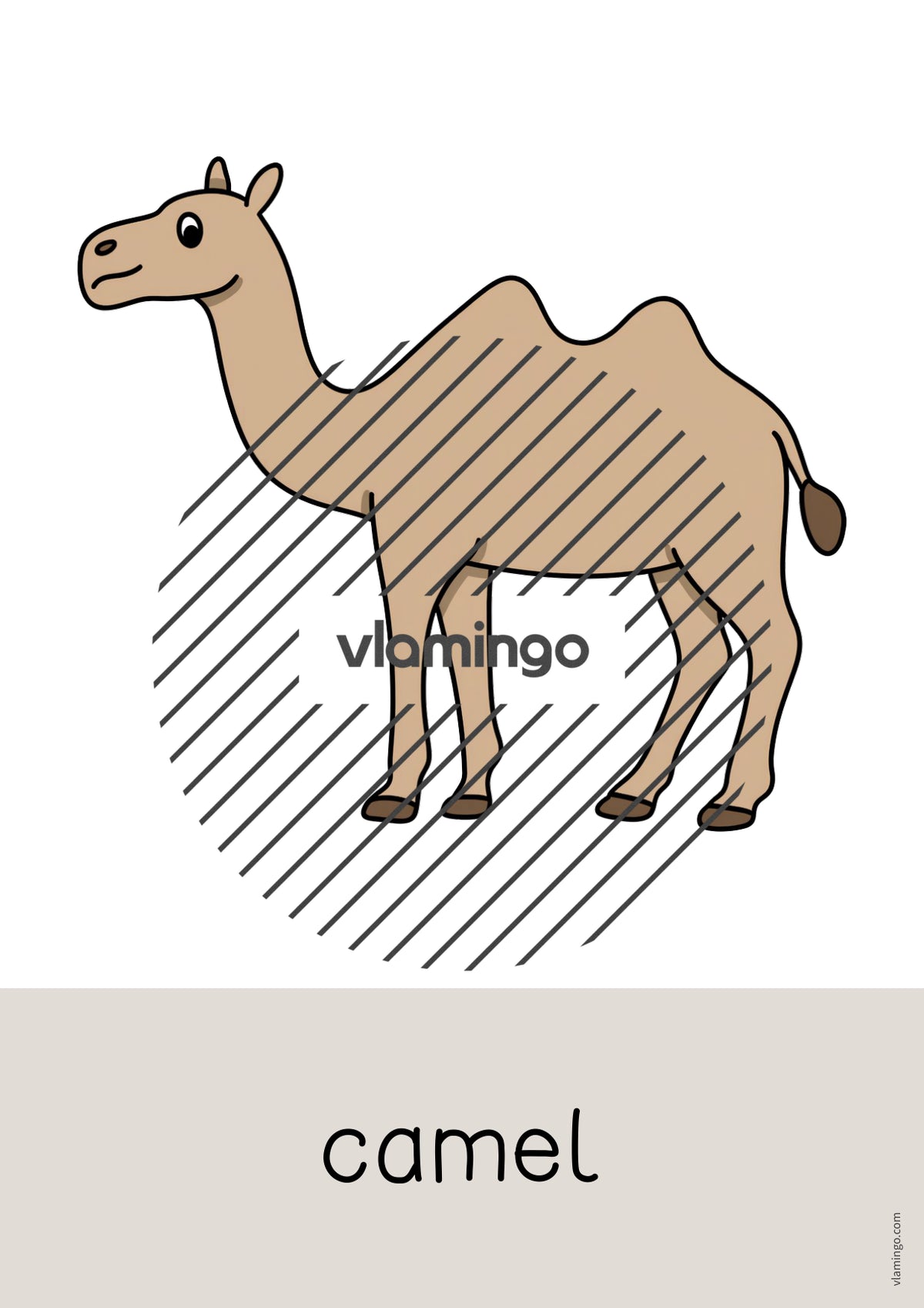 de englisch zoo animals word and picture cards 041