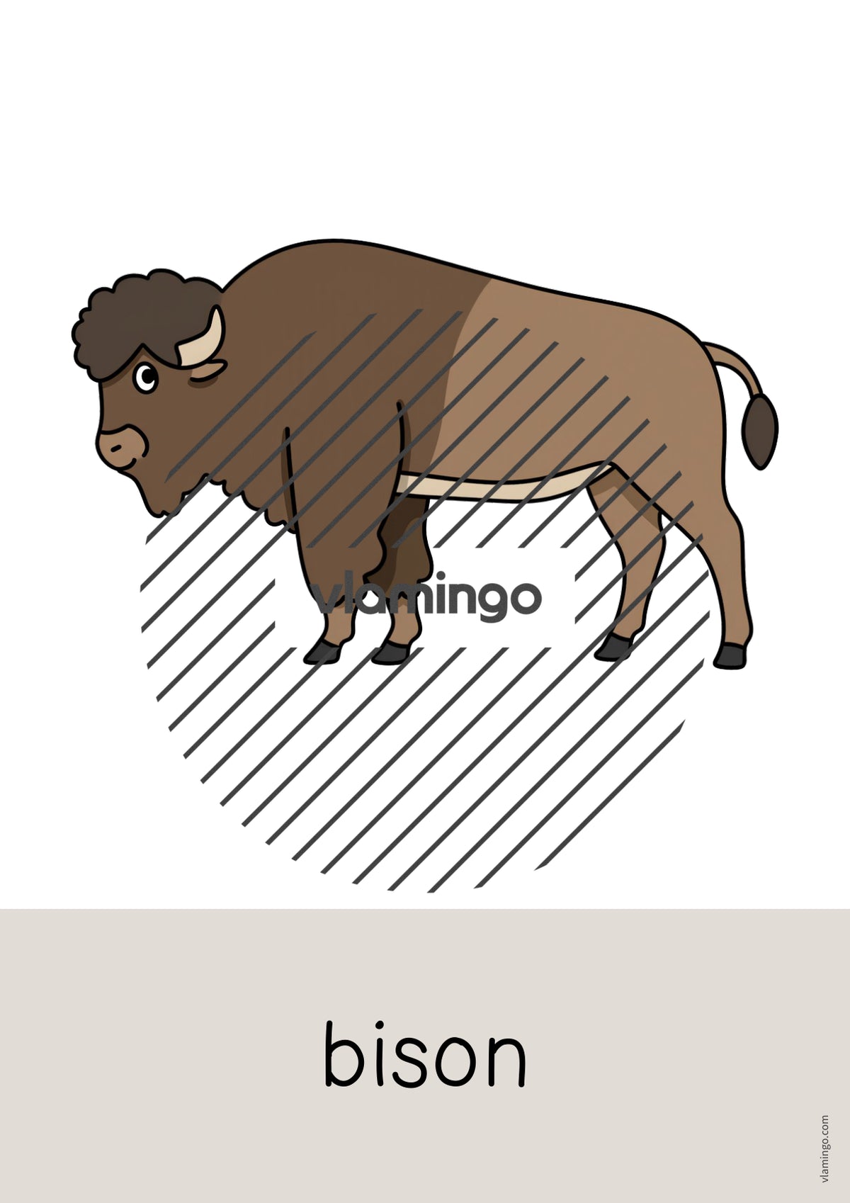 de englisch zoo animals word and picture cards 042