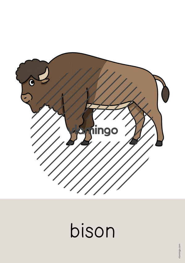 de englisch zoo animals word and picture cards 042