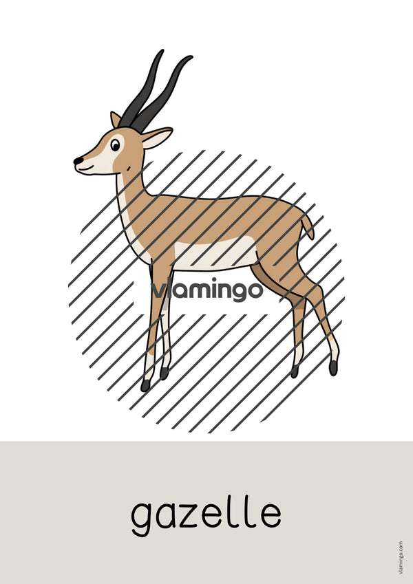 de englisch zoo animals word and picture cards 043