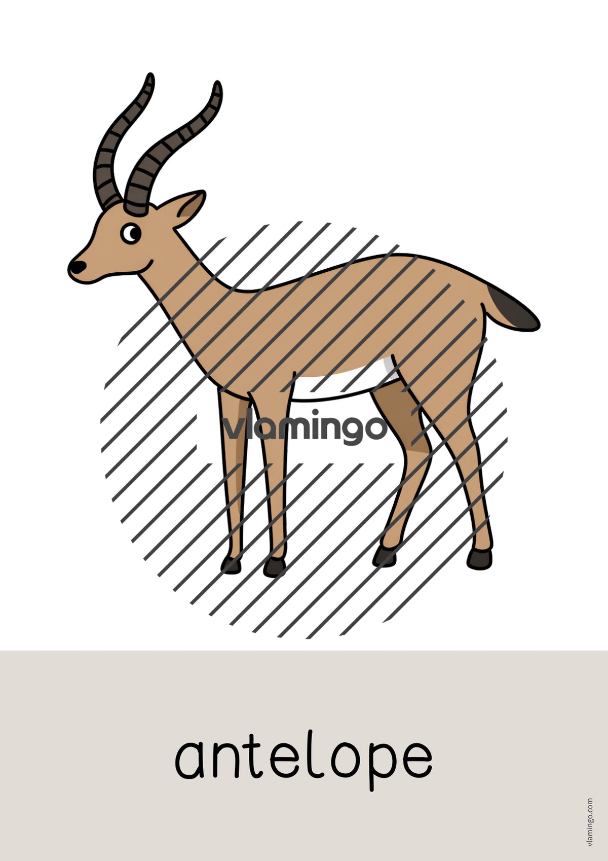 de englisch zoo animals word and picture cards 044