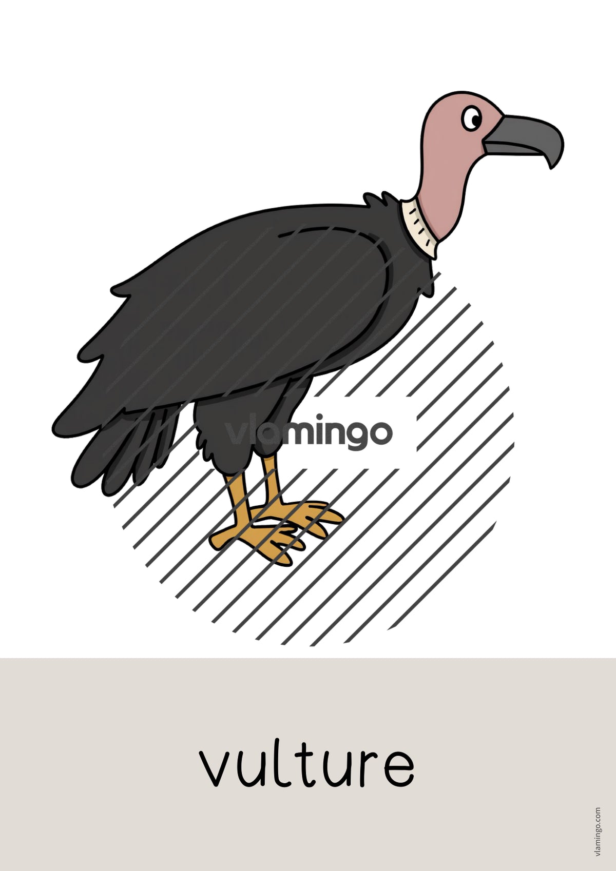 de englisch zoo animals word and picture cards 045