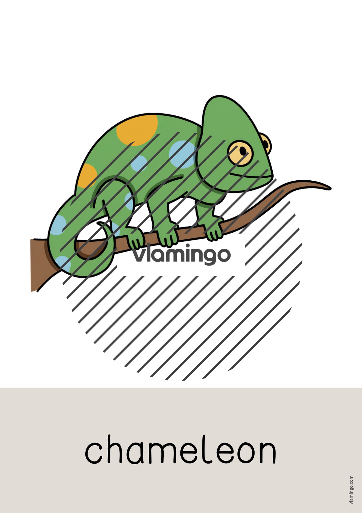 de englisch zoo animals word and picture cards 047