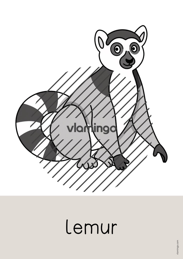 de englisch zoo animals word and picture cards 048