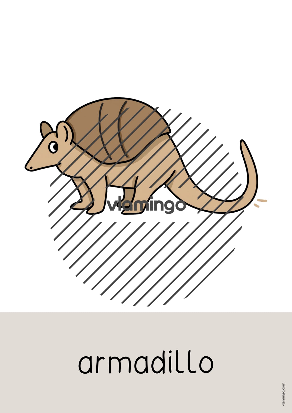 de englisch zoo animals word and picture cards 049