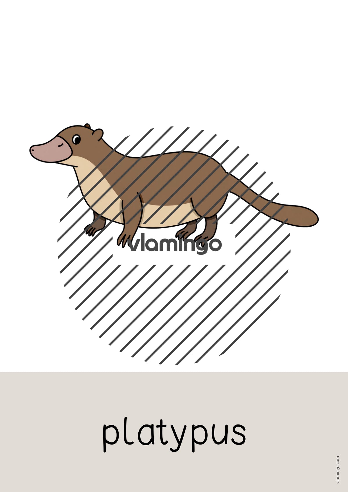 de englisch zoo animals word and picture cards 050