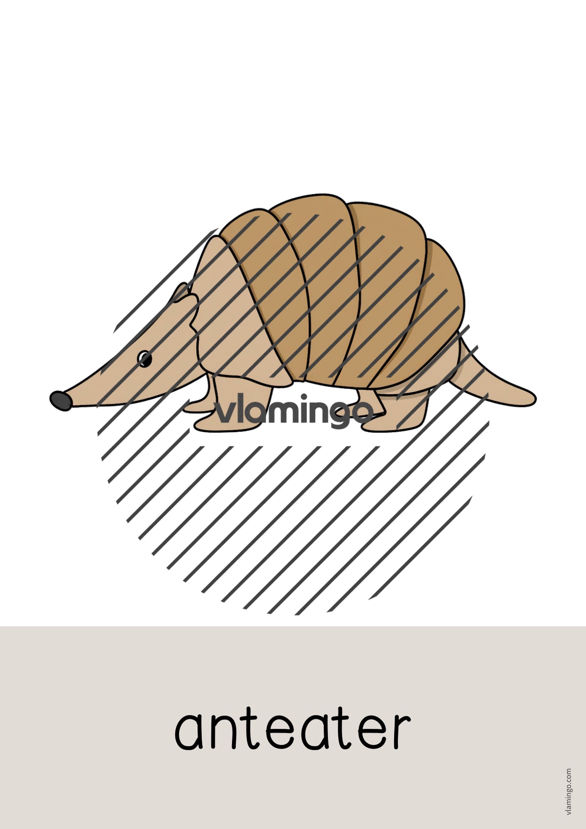 de englisch zoo animals word and picture cards 051