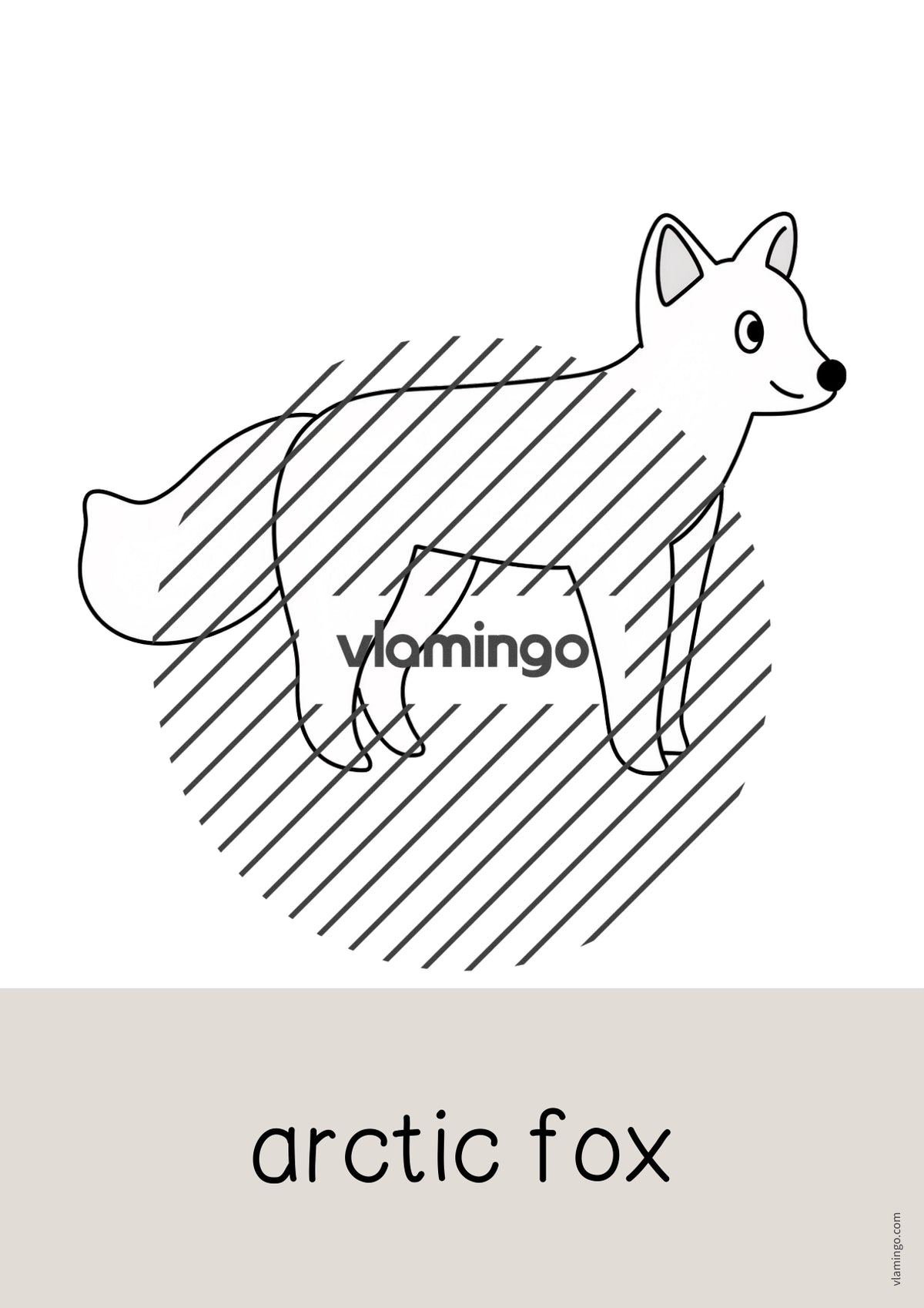 de englisch zoo animals word and picture cards 053