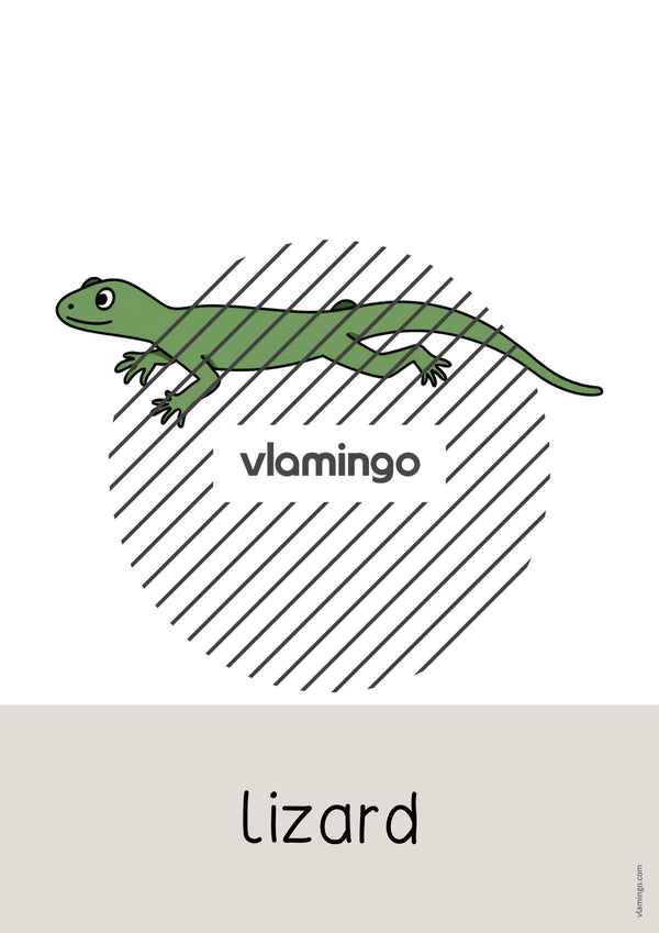 de englisch zoo animals word and picture cards 055