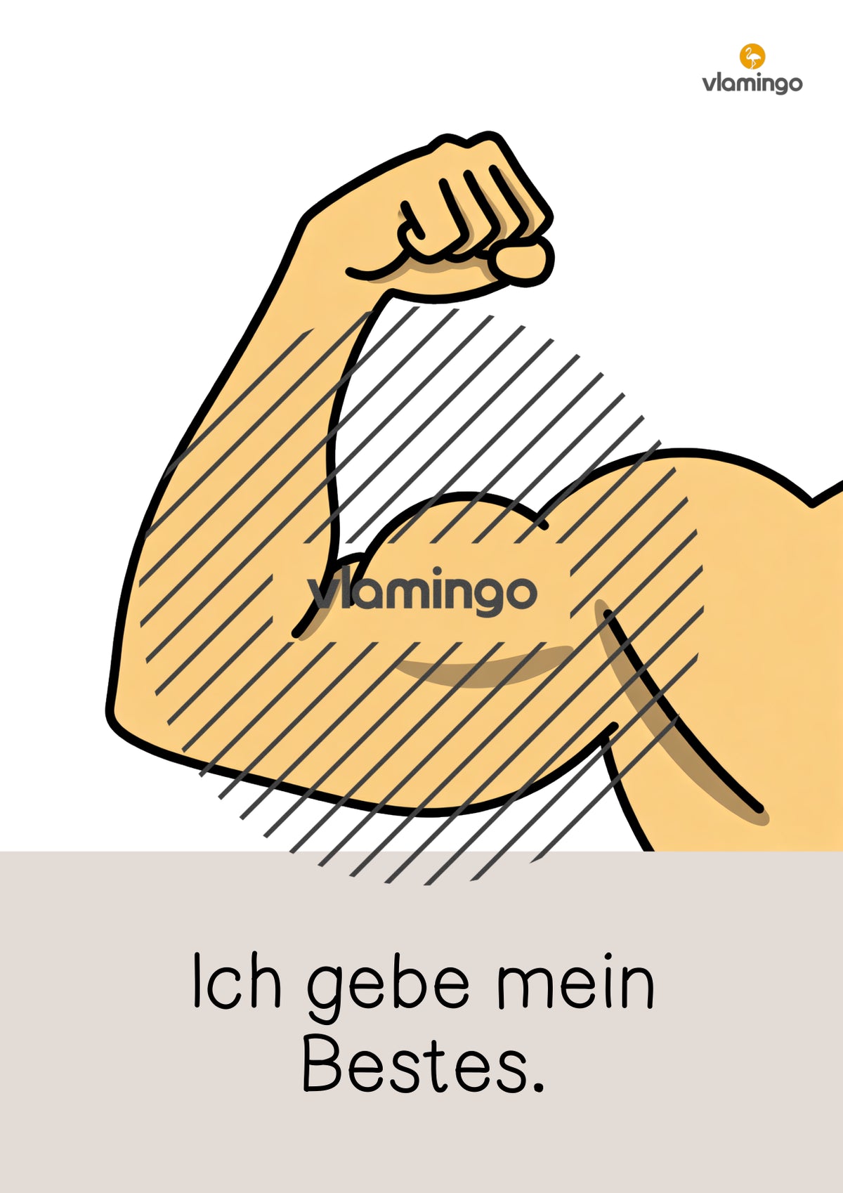 Fairnessregeln im Sportunterricht (Karten & Regelposter)