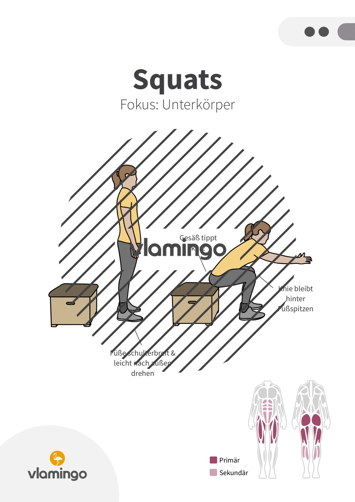 40 Fitnessübungen mit Kasten, Stuhl & Bank (Workout)