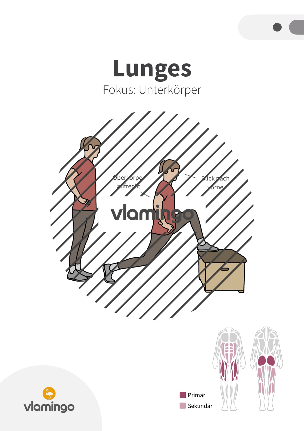 40 Fitnessübungen mit Kasten, Stuhl & Bank (Workout)