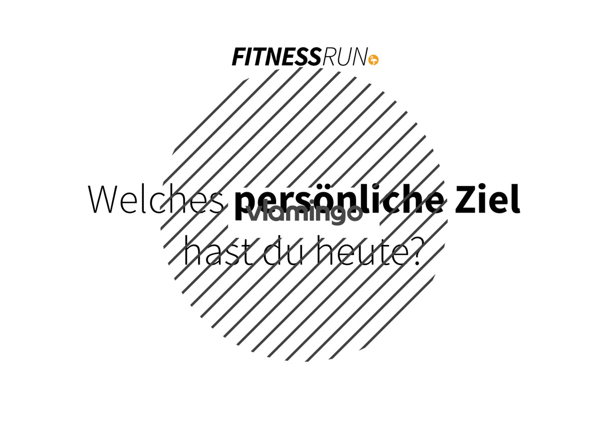 FitnessRun by vlamingo