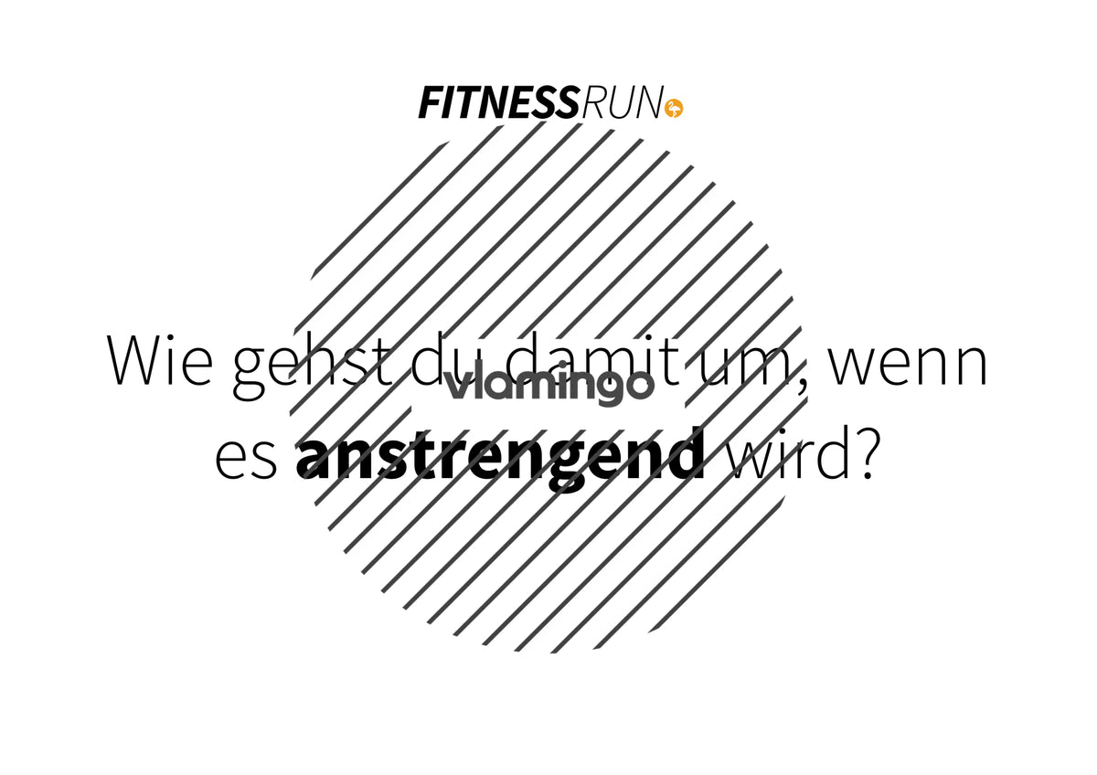 FitnessRun by vlamingo