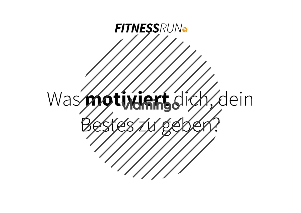 FitnessRun by vlamingo