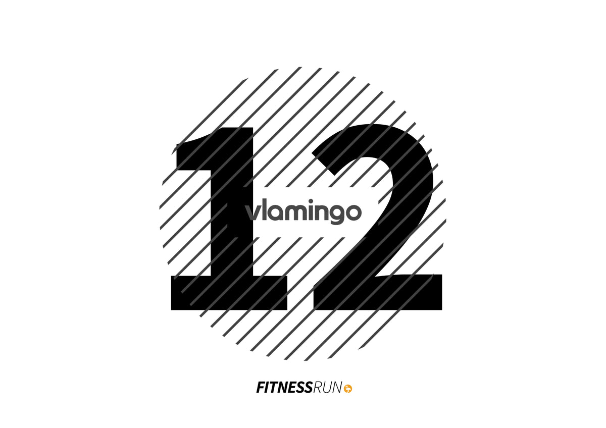 FitnessRun by vlamingo