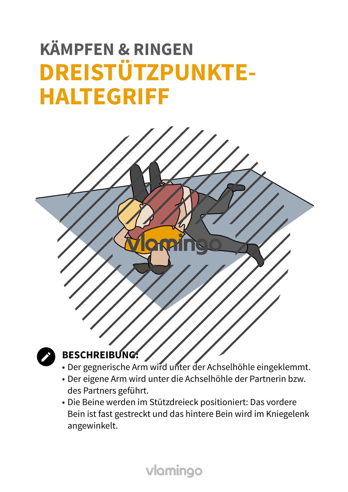 Kämpfen & Ringen: 30+ Stationskarten & Begleitmaterial für den Sportunterricht