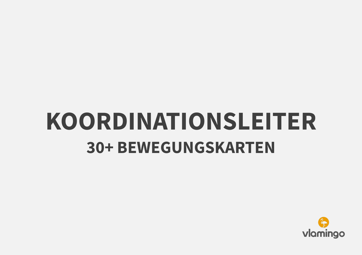 Koordinationsleiter: Bewegungskarten für den Sportunterricht