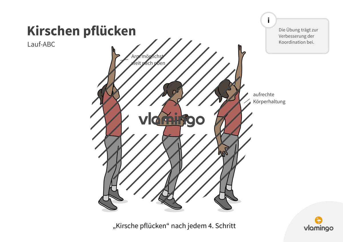Lauf-ABC: 20 Übungskarten für den Sportunterricht & zuhause