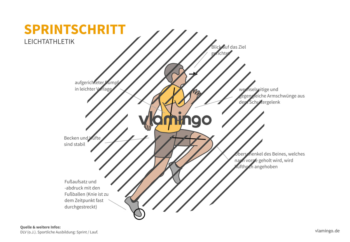 Leichtathletik: 30+ Technikkarten für den Sportunterricht & Verein
