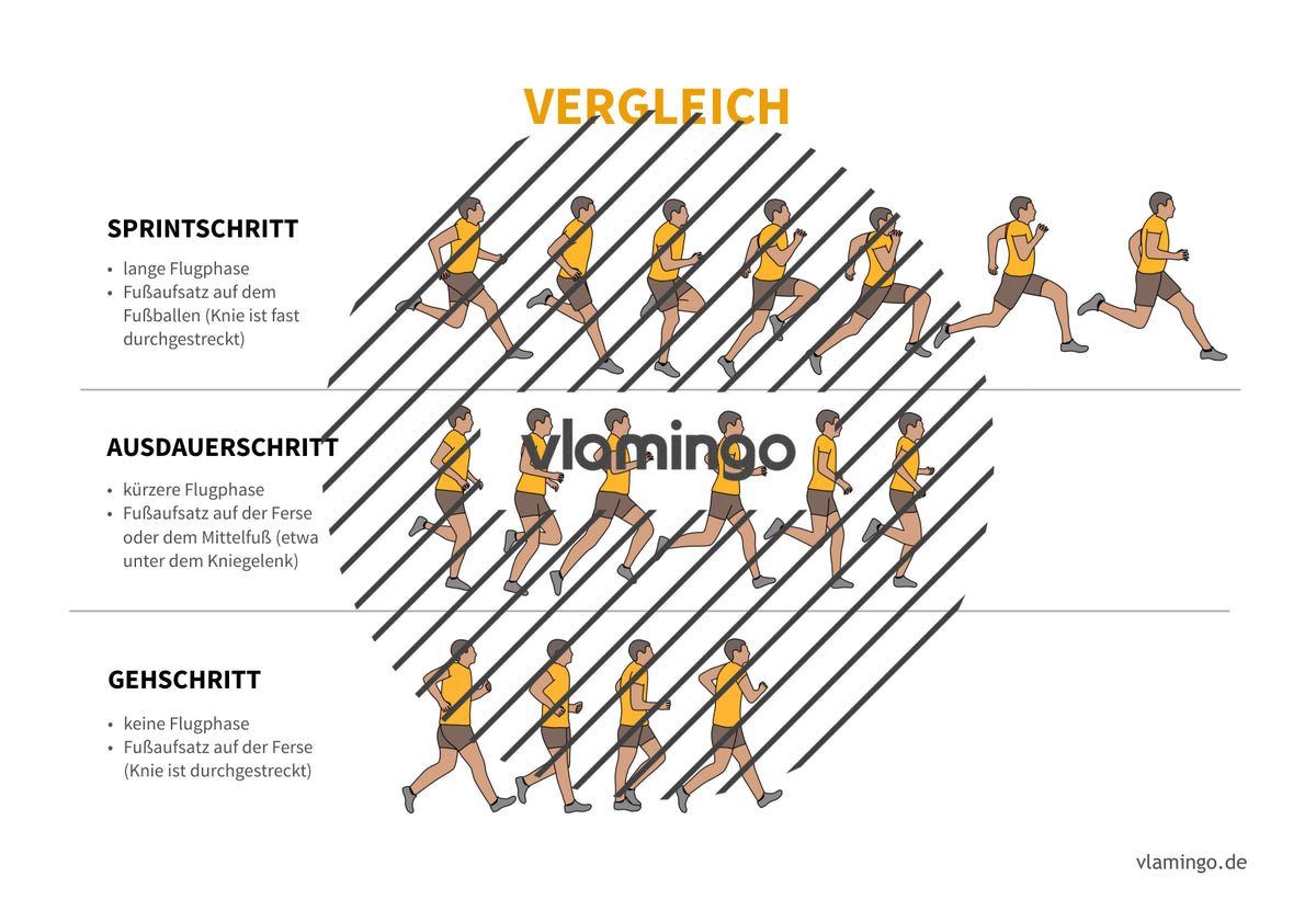 Leichtathletik: 30+ Technikkarten für den Sportunterricht & Verein